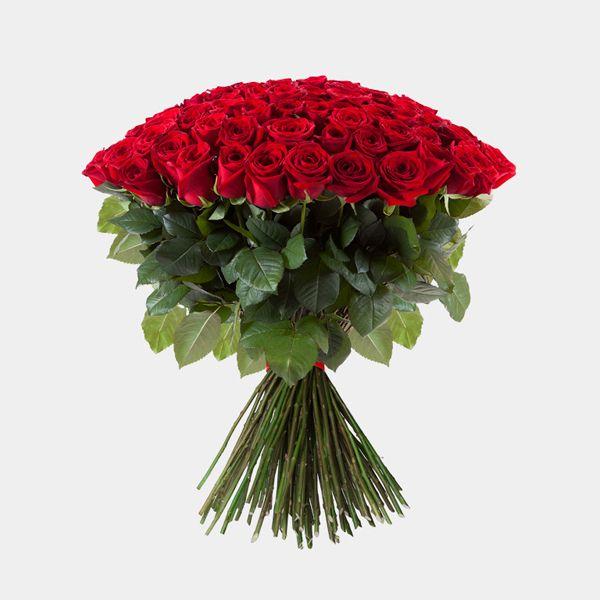 Harmony in Bloom Symphony Cluster